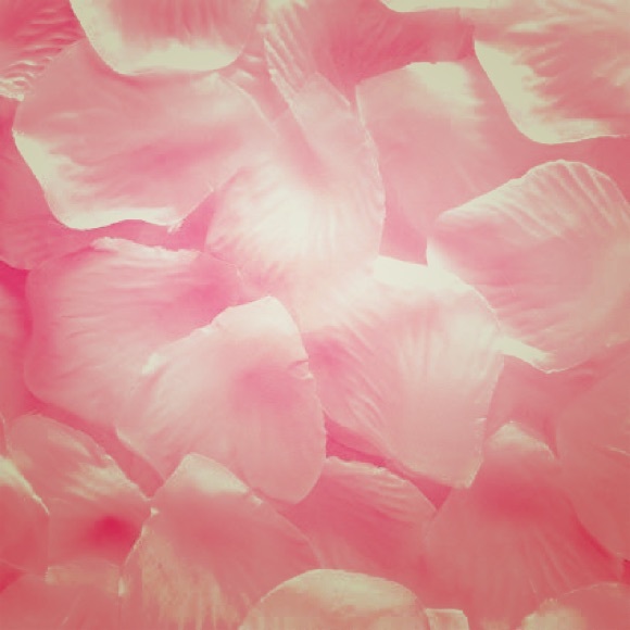 Meet your Posher, Tali - Picture 1 of 1